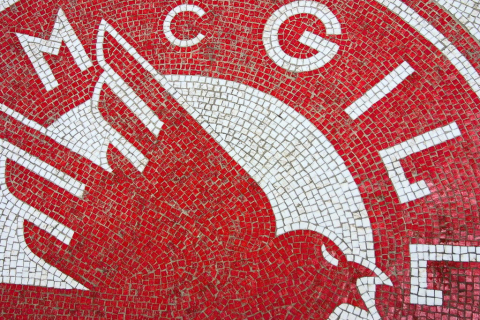 Tiled red and white 91社区 Crest from 91社区 Athletics floor